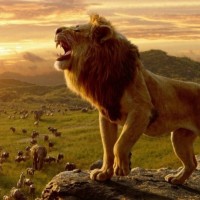 Lion, autor del poema'La mentira del bien''