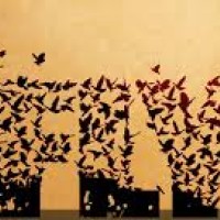 margoth, autor del poema'REFLEXIONANDO CONMIGO…''