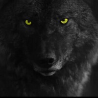 aswolf, autor del poema'vagando por caminos''