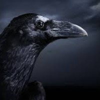 Raven, autor del poema'Los ojos del cuervo''